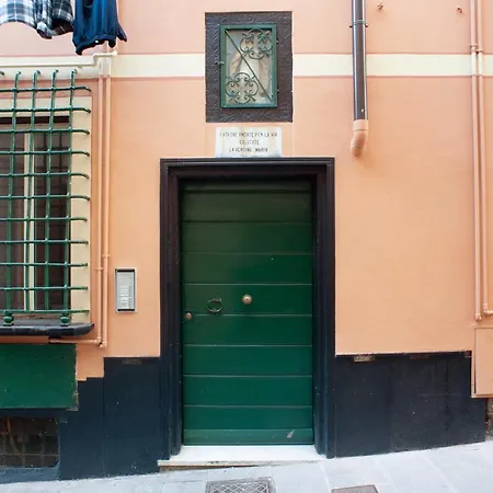 House Mario * לבנטו